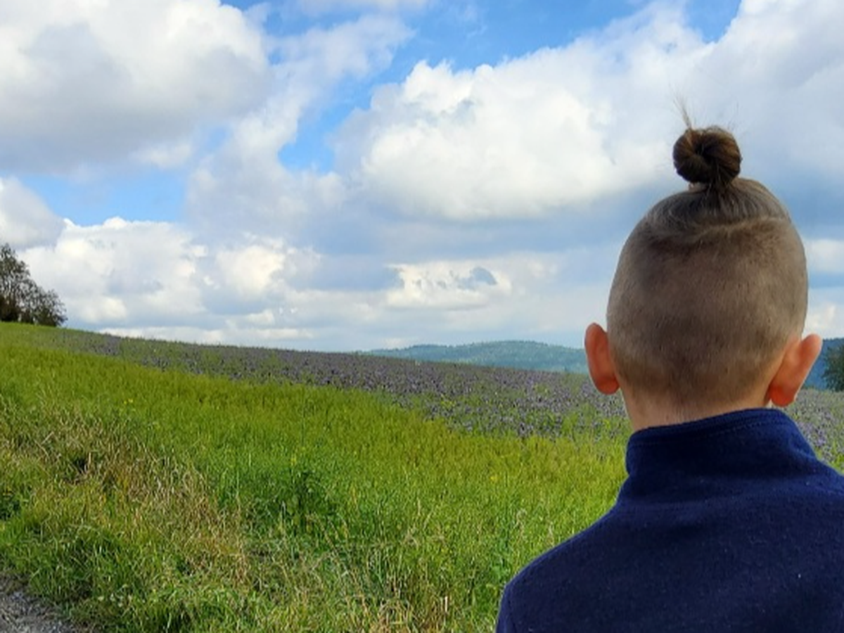 Mein Kind wurde mir genommen – bitte helft mir, ihn zurüc campaign photo, 1 of 3