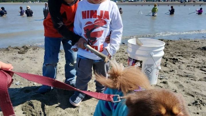 Support loss of family dog & childhood home campaign photo, 1 of 7