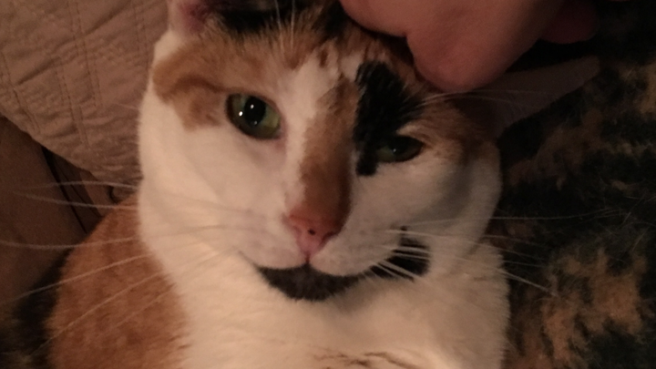 Donations for Dani’s Treatment and Care campaign photo, 1 of 8