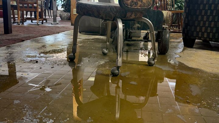 Support Green Grocers' Recovery After the Flood campaign photo, 1 of 7