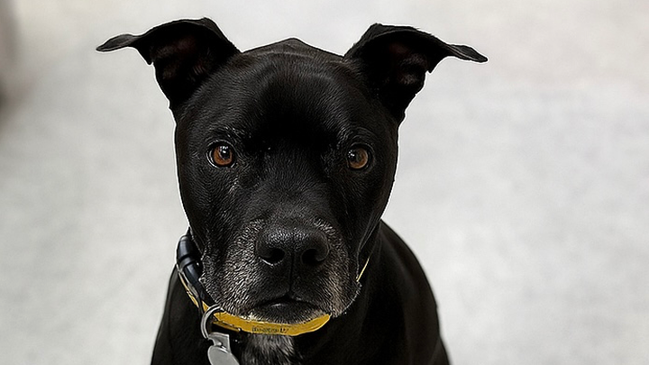 Reggie’s having a rough week campaign photo, 1 of 5