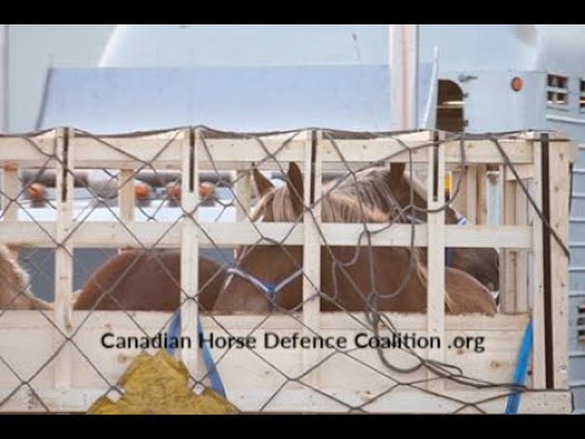 Fundraiser’s main image
