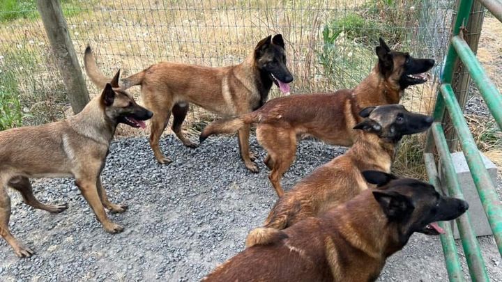 Foto principale della raccolta fondi