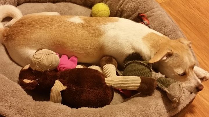 Main fundraiser photo