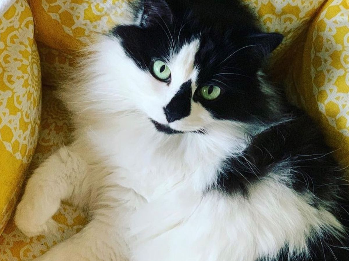 Spreading the Gospel and forming disciples through our community, outreach,  and educational excellence. 12330 South 36th Street, image size:1200x900