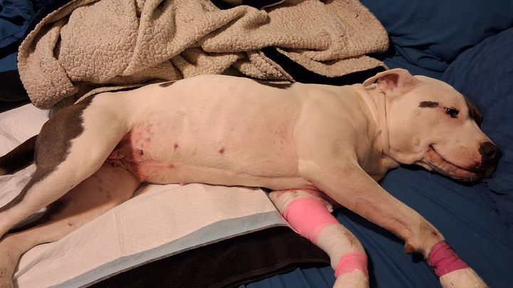 Help Lady Walk Again After Accident campaign photo, 1 of 7