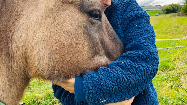 Pony Opa braucht Hilfe ❤️ campaign photo, 1 of 3
