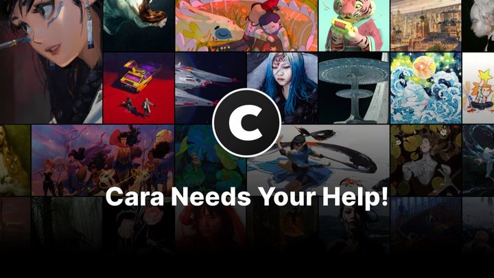 Help Cara Fight Scrapers with Legal Fund campaign photo, 1 of 7