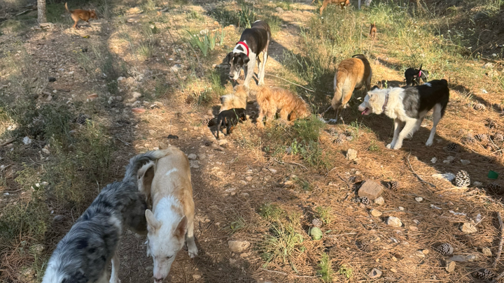 Hauptbild des Spendenaufrufs