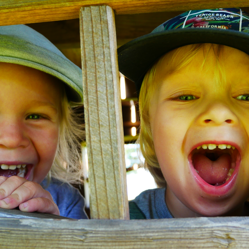 Help National Society to prevent cruelty towards children