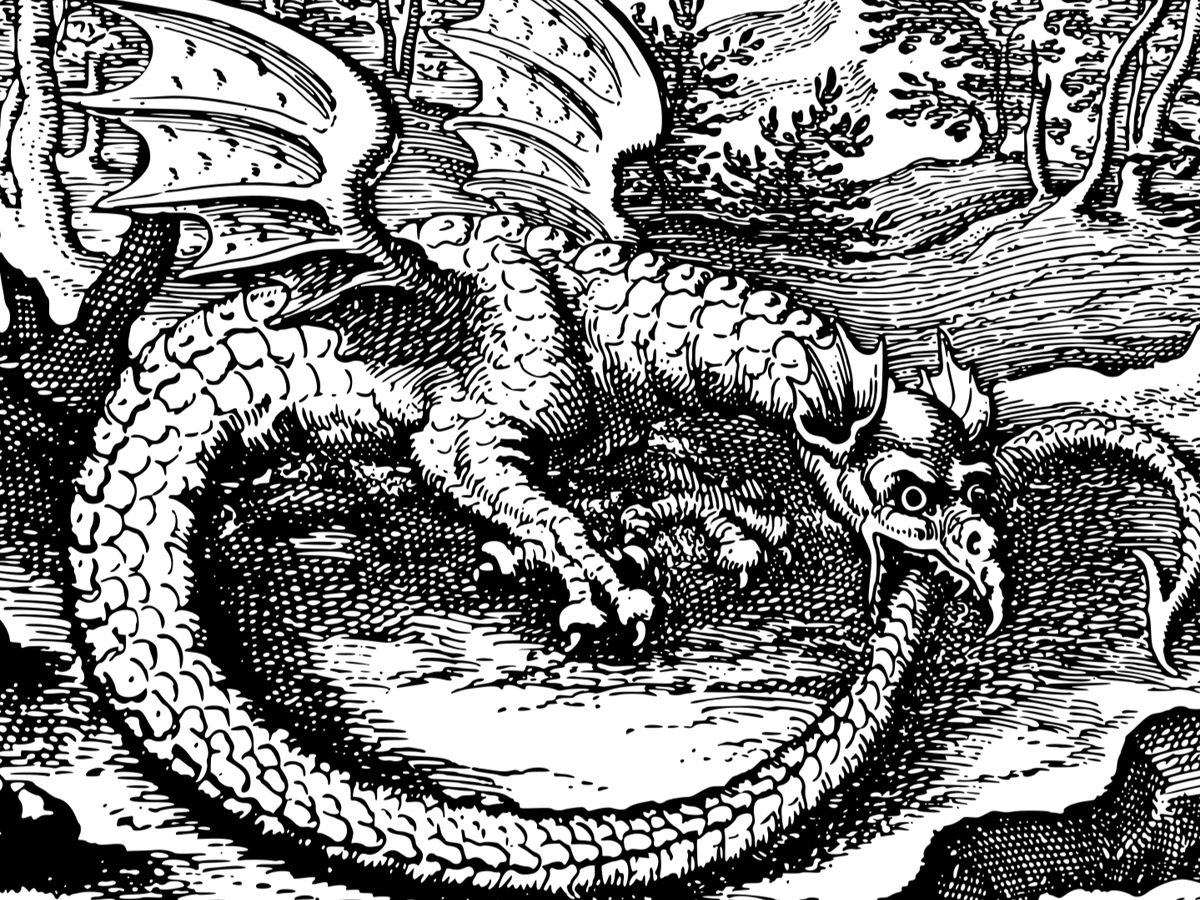 Fundraiser’s main image