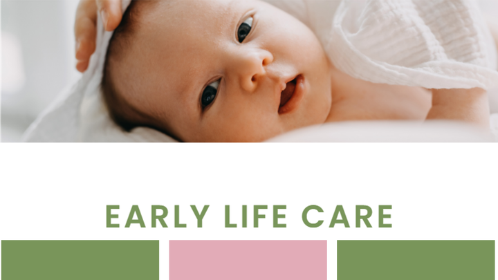 Unterstützung für Early Life Care campaign photo, 1 of 3