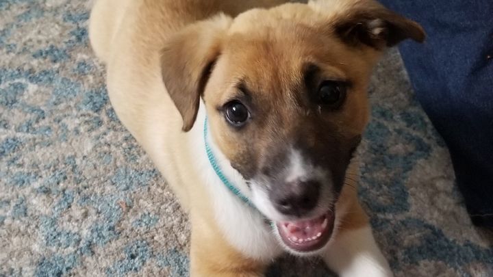 Main fundraiser photo