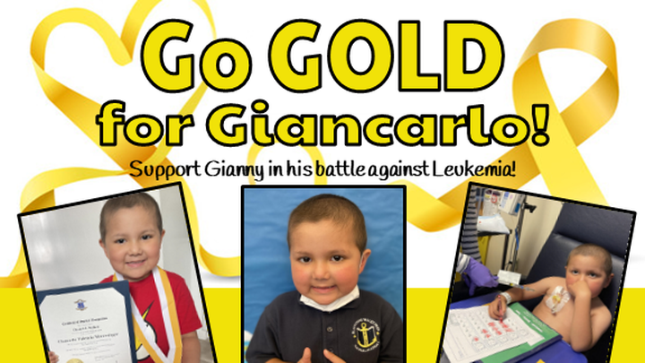 Main fundraiser photo