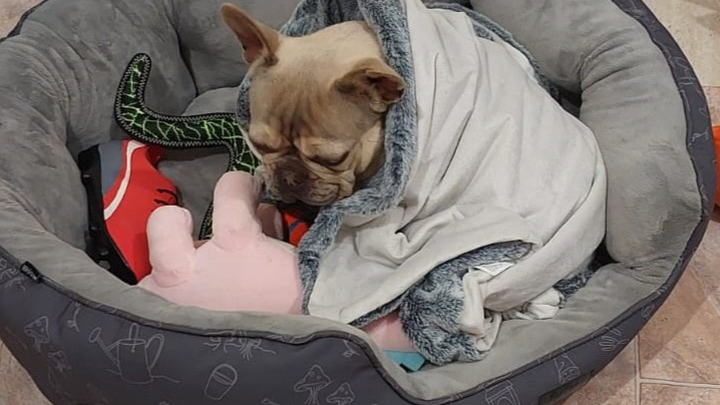Help Theo Breathe Again: Urgent Surgery Needed campaign photo, 1 of 8