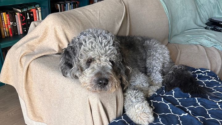 Justice for Jameson: Help Us Honor His Memory