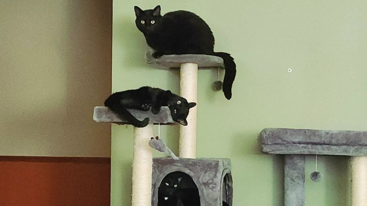 Help Melissa and Mike Keep Their Home campaign photo, 1 of 3