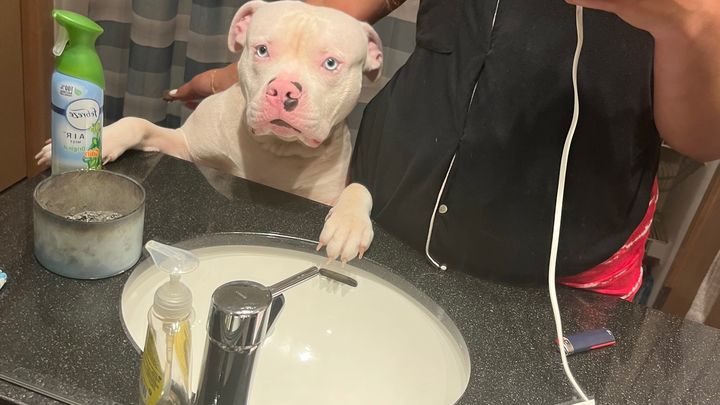 Help Tommy Get Lifesaving Surgery campaign photo, 1 of 6