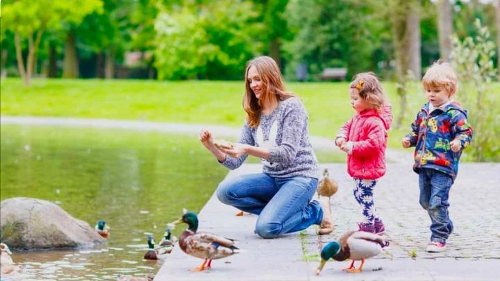 Help Save Freestone Park's Beloved Ducks & Turtles campaign photo, 1 of 8