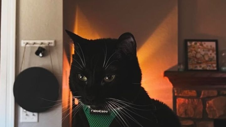 Help Chelsea Rebuild After Apartment Fire campaign photo, 1 of 5