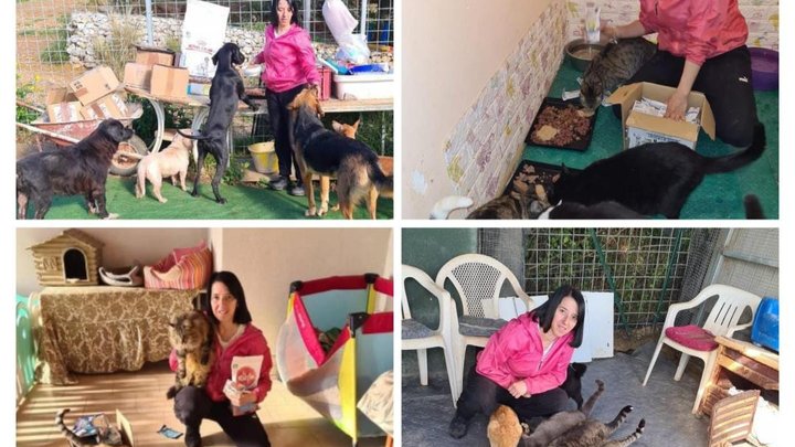 Foto della campagna 100 CANI E GATTI...... IL GRIDO DI DOLORE DI UNA VOLONTARIA, 1 di 7