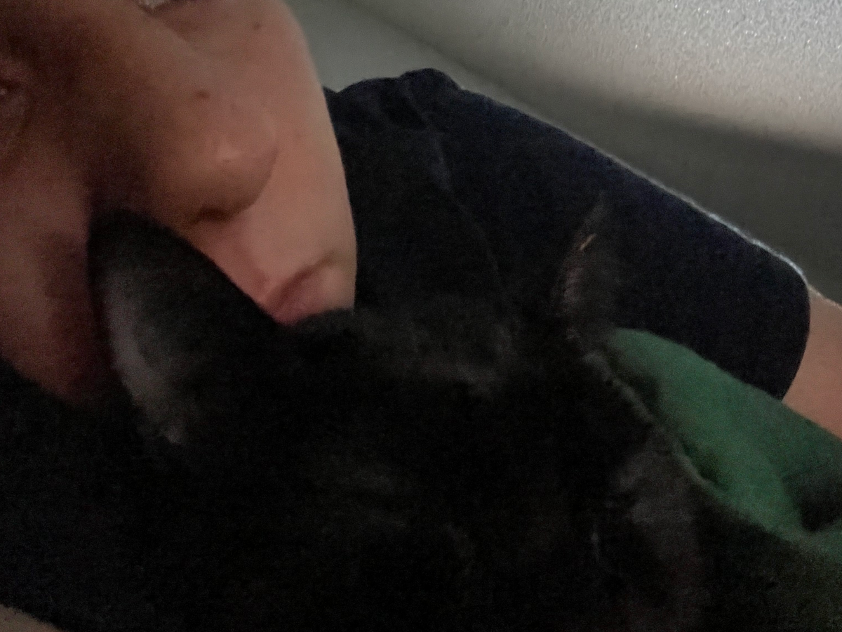 Help Cremate and Bury a Beloved Pet campaign photo, 1 of 8