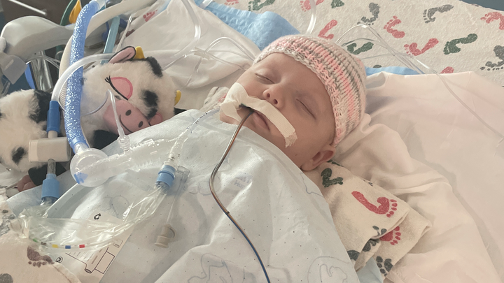 Help Dallas Kate Fight for Her Life campaign photo, 1 of 3