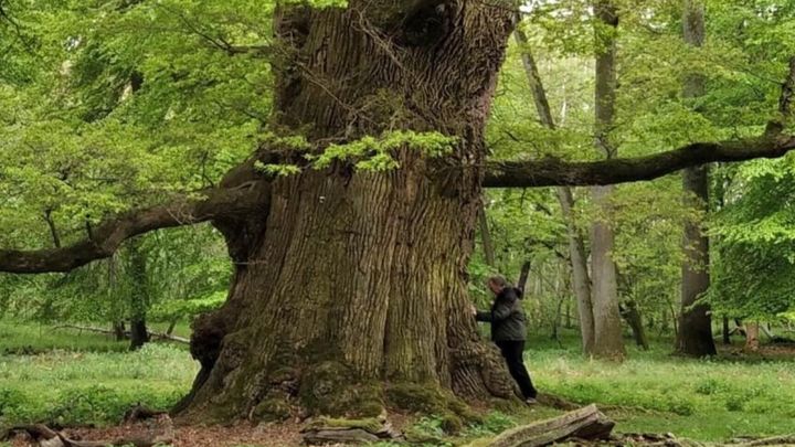 Main fundraiser photo