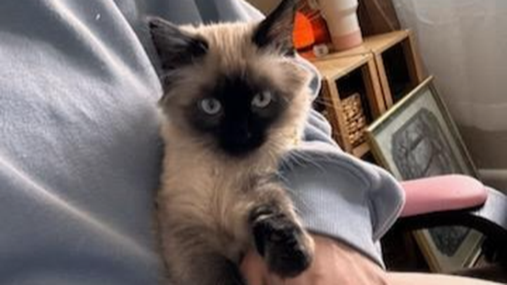 Support Meep's Urgent Medical Care campaign photo, 1 of 8
