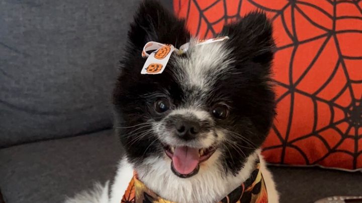 Help Aurora Heal After Her Leg Amputation campaign photo, 1 of 8