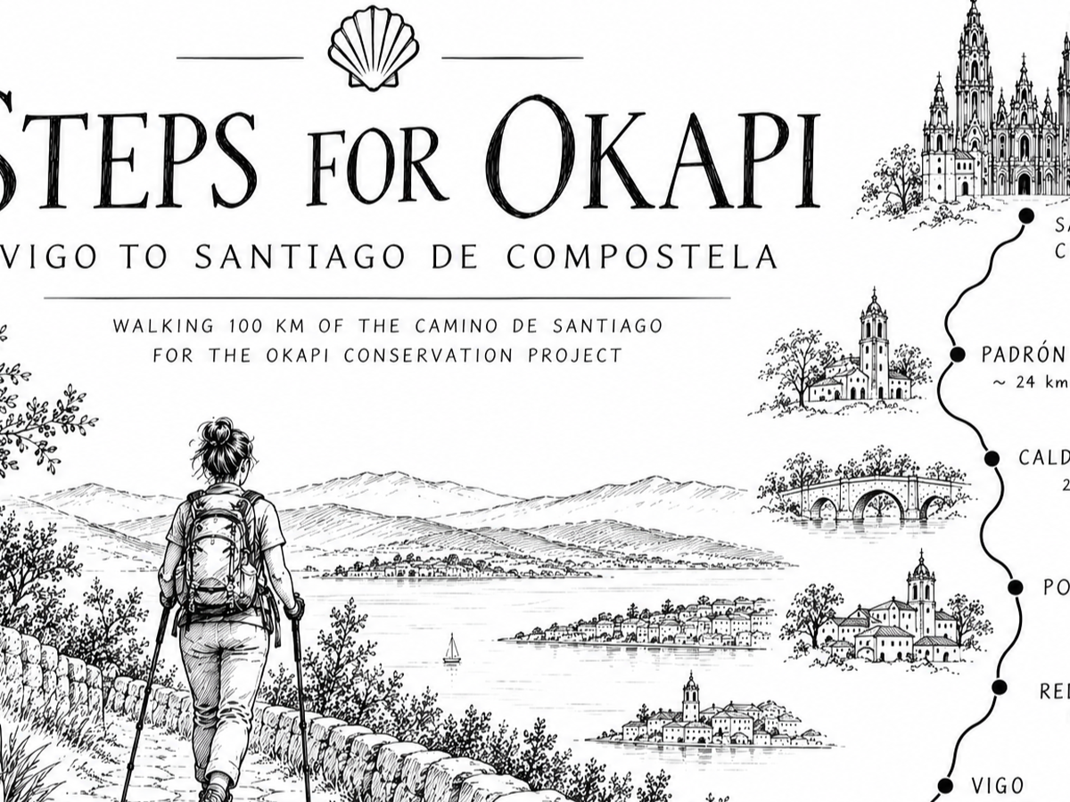 Fundraiser’s main image