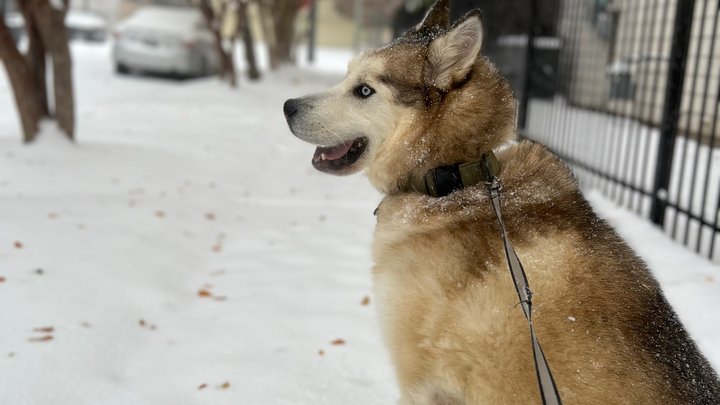 Winter’s journey to healing. campaign photo, 1 of 8
