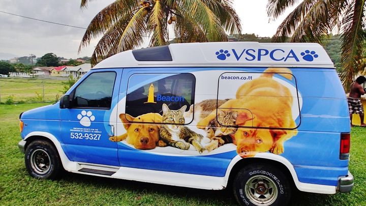 URGENT APPEAL - Animals need help after Hurricane Beryl campaign photo, 1 of 3