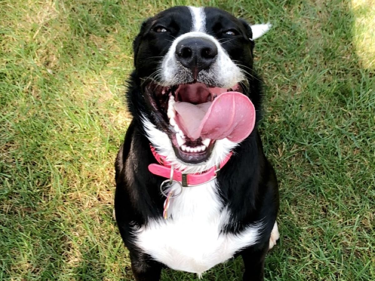 Mya’s Journey to Healing: Your Support Matters campaign photo, 1 of 5