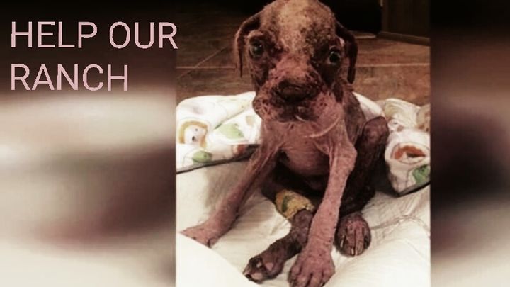 Main fundraiser photo