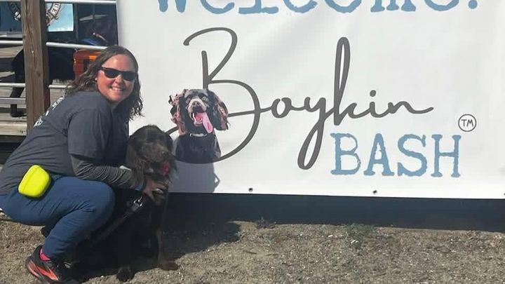 Help Support Alison Swink and Buddy after Fire campaign photo, 1 of 5