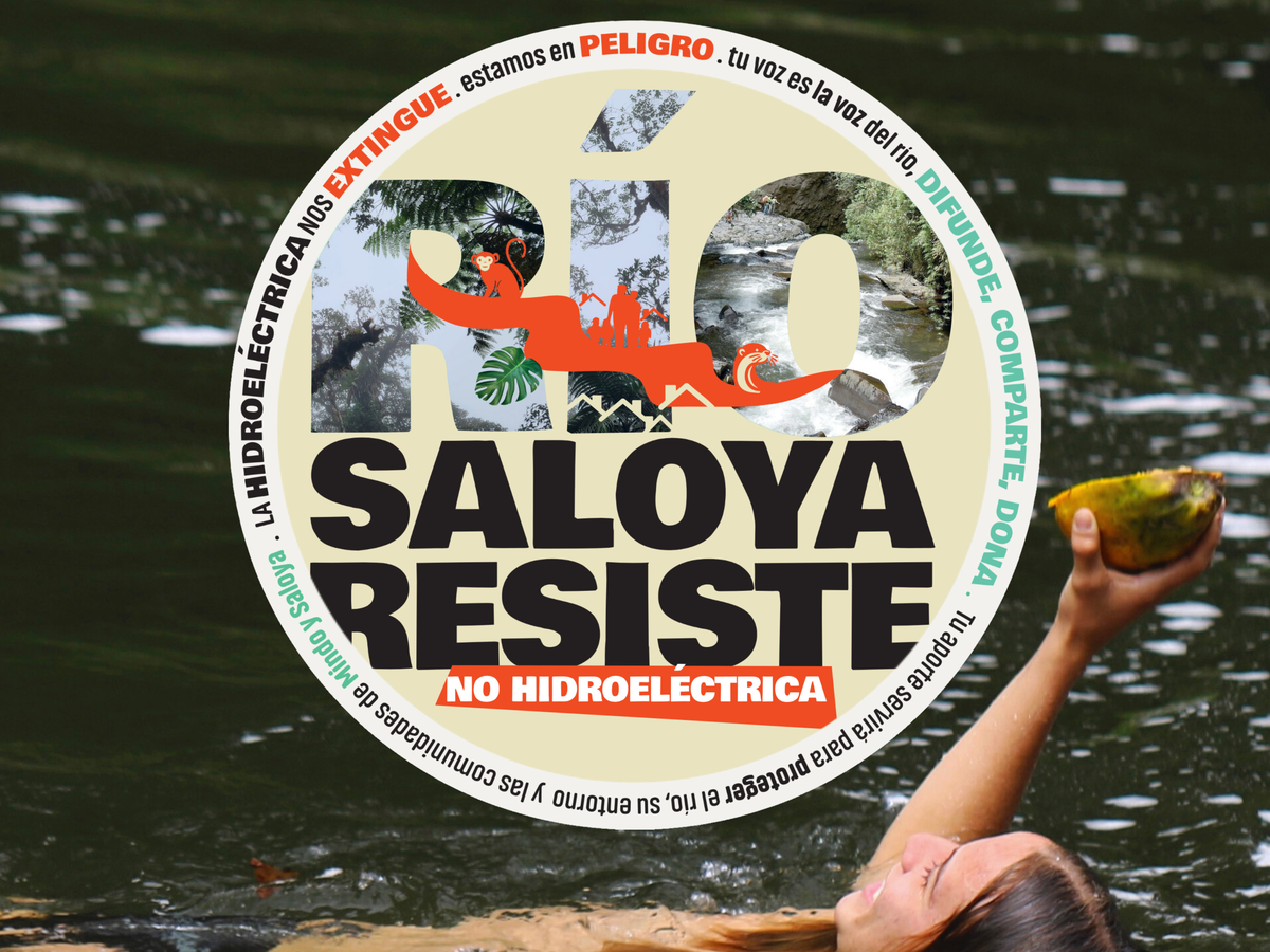 Fundraiser’s main image