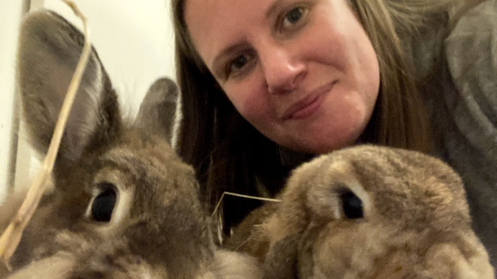 SEPEMBER FOR RABBIT RESCUE NORTH WEST campaign photo, 1 of 8
