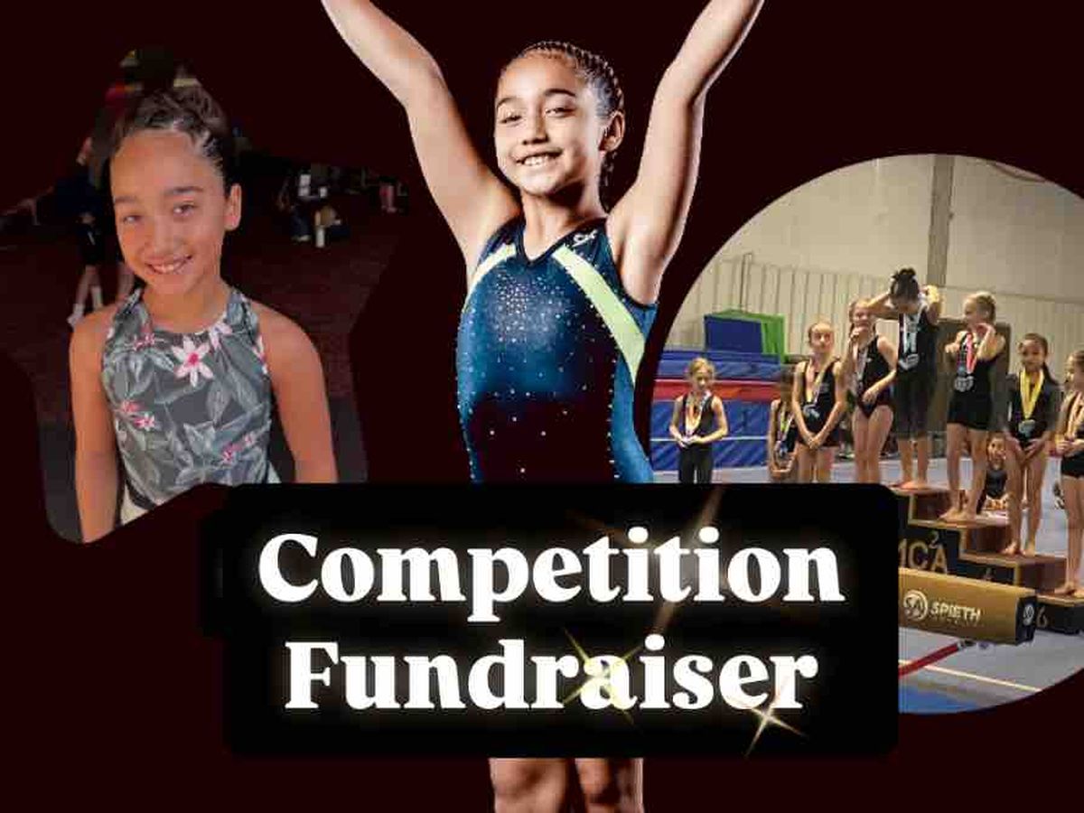 Fundraiser’s main image