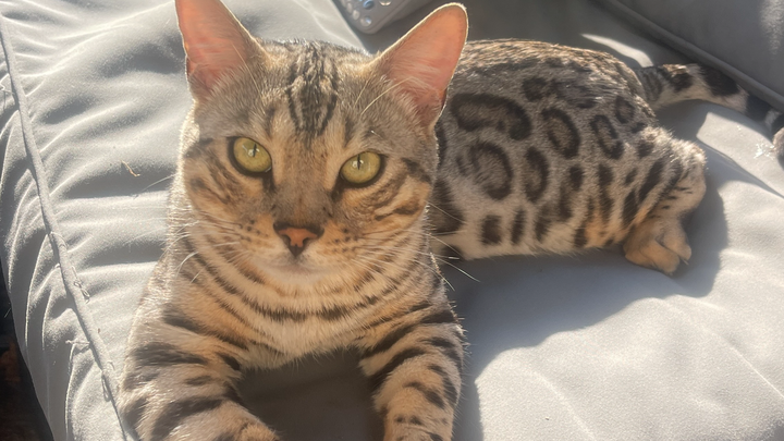 Main fundraiser photo