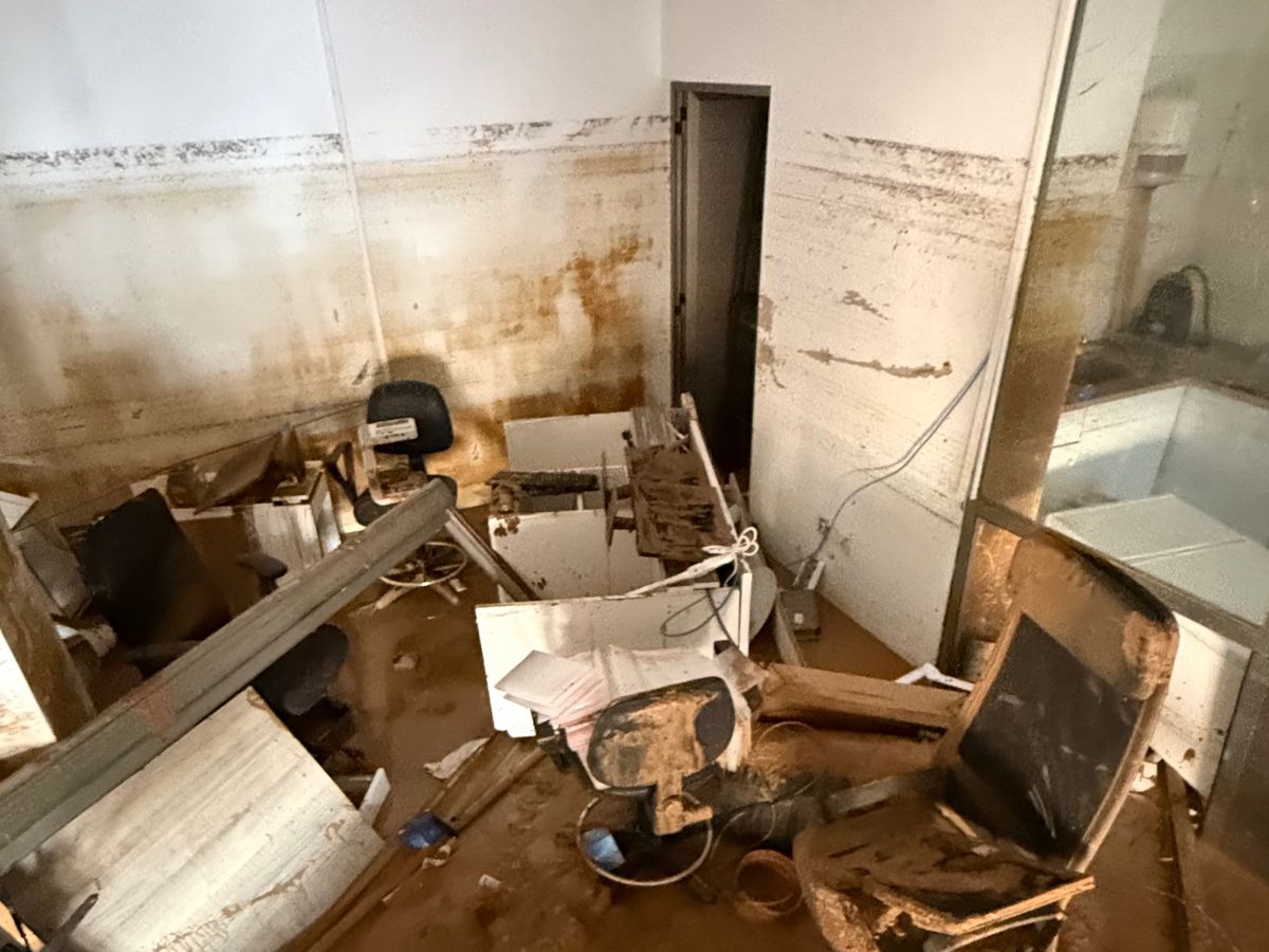 Imagen principal de la recaudación de fondos