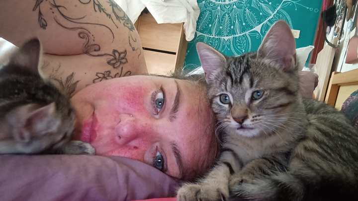 Una casetta per i miei animali campaign photo, 1 of 8