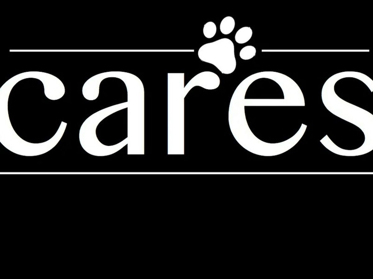 Fundraiser by Marcia Shigemoto : Center for Animal Rescue & Education in  Solano