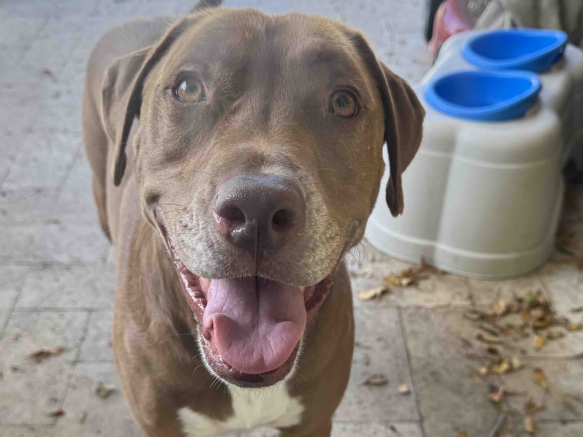 Help Nicole Save Jeter's Young Life campaign photo, 1 of 3