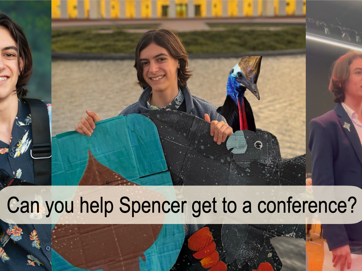 Fundraiser’s main image