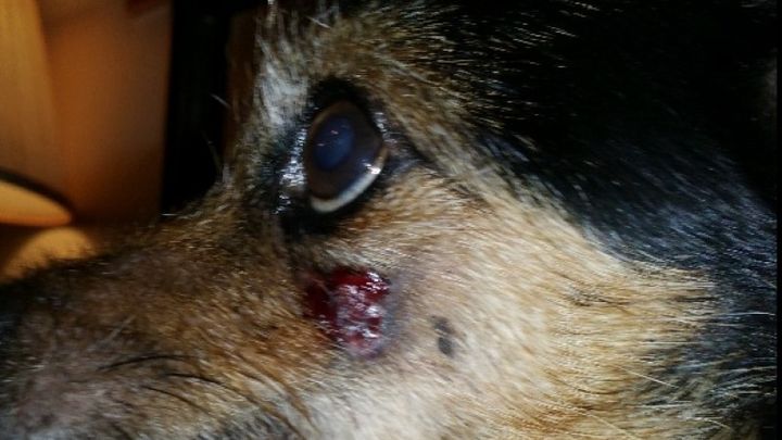 Main fundraiser photo