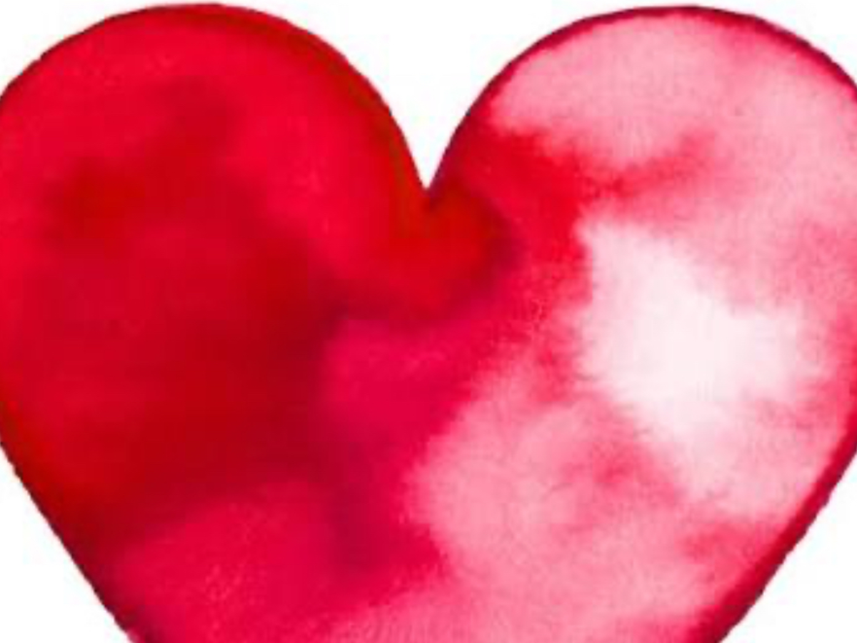 Fundraiser’s main image