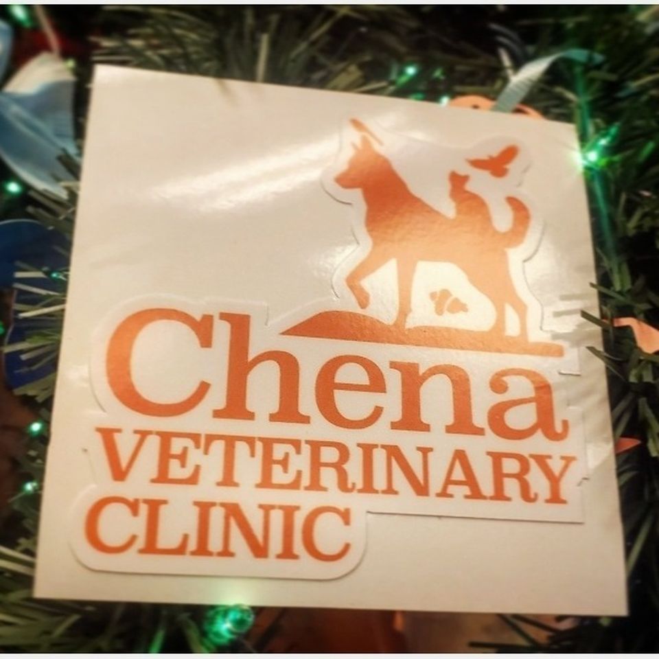 Fundraiser by Chena Vet : Angel Fund