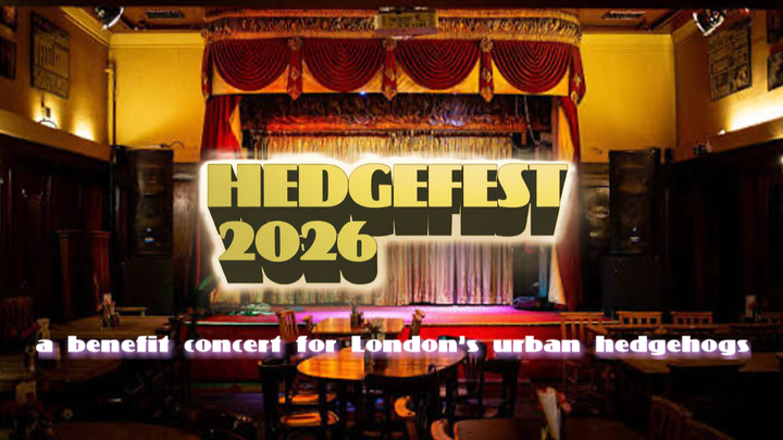 Help support HedgeFest and save London's urban hedgehogs! campaign photo, 1 of 5