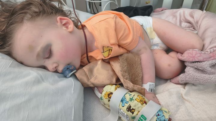 Support the Wilt's: Gideon’s Fight Against Leukemia campaign photo, 1 of 6